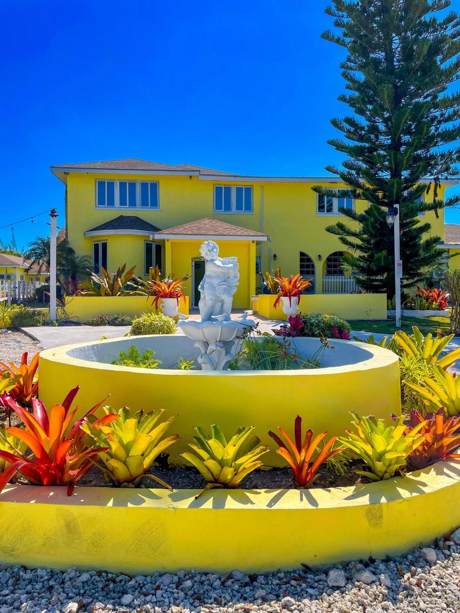 Golden Palms House Bed & Breakfast Nassau Exterior photo